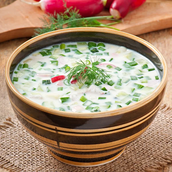 卵と緑と野菜ケフィアの冷たいスープ — ストック写真