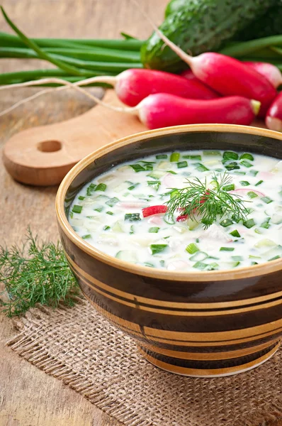 Kalla vegetabiliska kefir soppa med ägg och gröna — Stockfoto