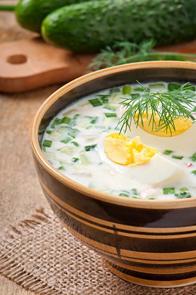 Kalla vegetabiliska kefir soppa med ägg och gröna — Stockfoto