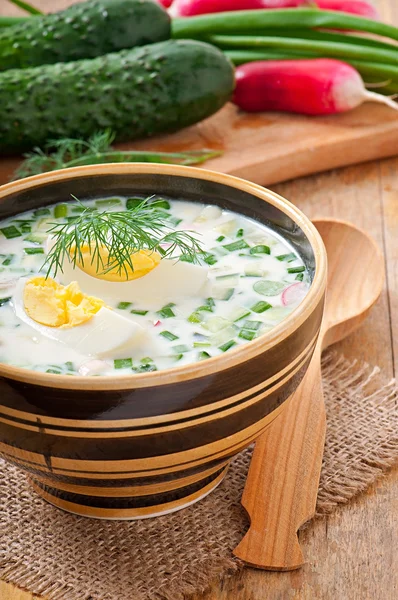 Cold vegetable kefir soup with eggs and greens — Stock Photo, Image