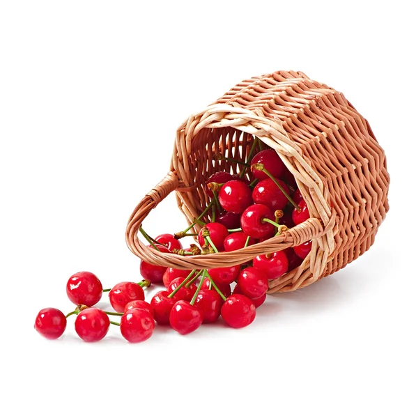 Cerezas frescas en una canasta de mimbre — Foto de Stock