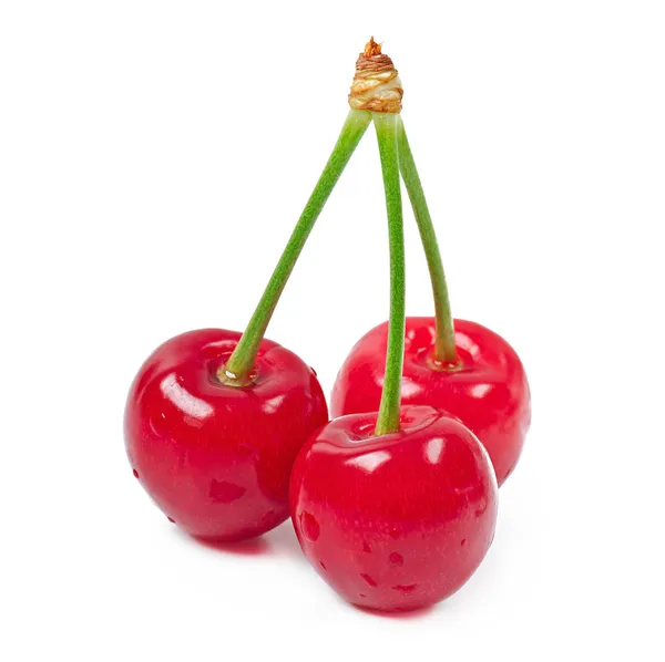 Sweet cherry izolované na bílém — Stock fotografie