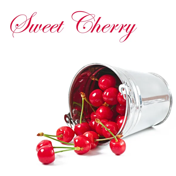 Cherries in a metallic bucket isolated on white — Stock Photo, Image
