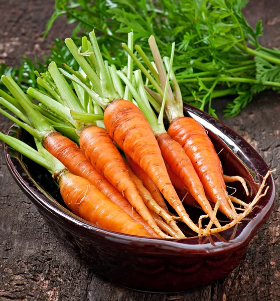 Bunch of fresh carrots — Stock Photo, Image