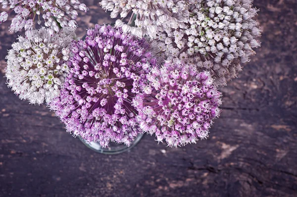 Flowers onion o — Stock Photo, Image