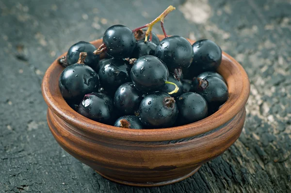 Black currant in a ceramic bowl — Stock Photo, Image