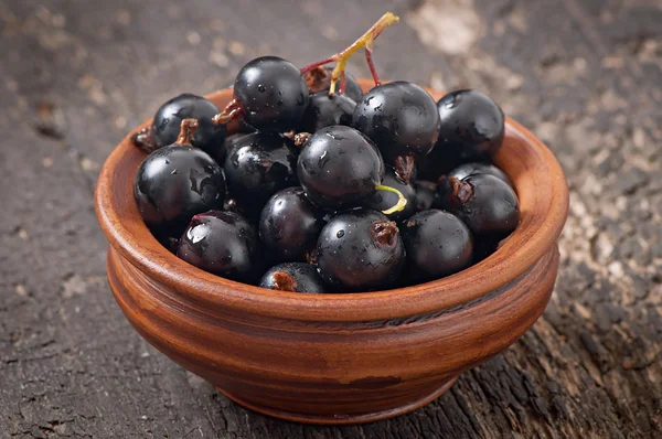 Black currant in a ceramic bowl — Stock Photo, Image