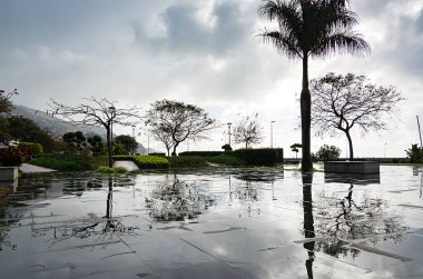 Madeira Adası, Funchal şehrinin güzel gezinti güvertesi. Yağmurdan sonra toprak seti.
