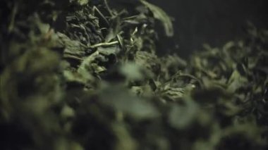 Yeşil çay görüntüsü. Arkaplan