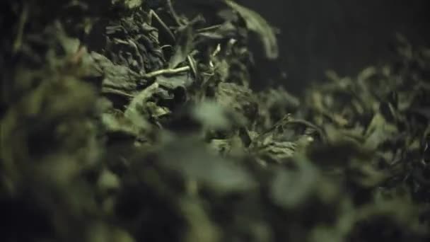 Záběry Zeleného Čaje Backgroun — Stock video