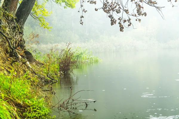 Niebla sobre el agua — Foto de Stock