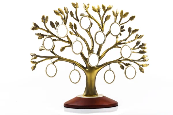 Family tree — Stock Photo, Image