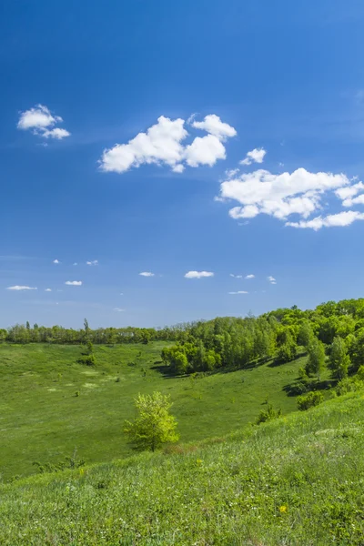 Lente landschap — Stockfoto