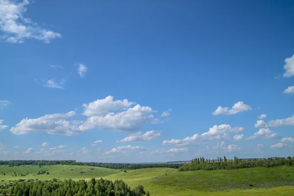 Under the sky blue... — Stock Photo, Image