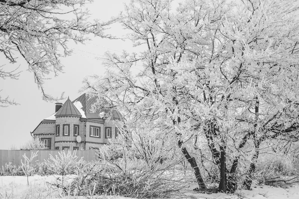 Vinterpalatset — Stockfoto