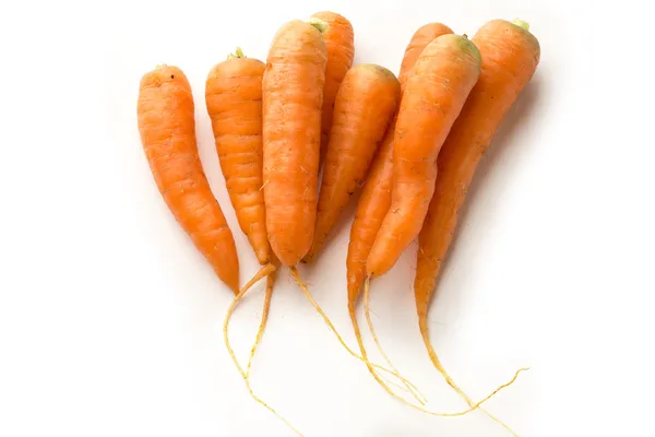Zanahorias en el fondo blanco —  Fotos de Stock