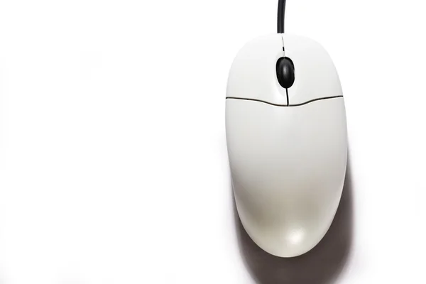 Mouse del computer sullo sfondo bianco — Foto Stock