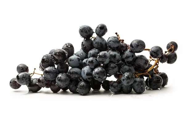 Twig of black grape on white — Stock Photo, Image