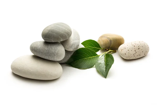 Stones with leaves on white background — Stock Photo, Image