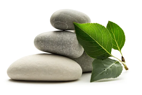 Stones with leaves on white background — Stock Photo, Image