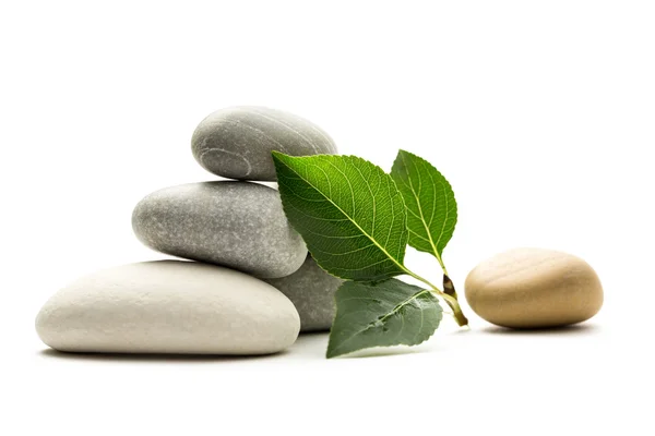 Stones with leaves on white background — Stock Photo, Image