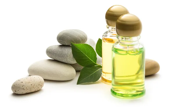 Stones, leaves and shampoo bottles — Stock Photo, Image