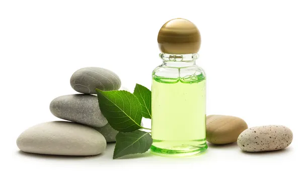 Stones, leaves and shampoo bottle — Stock Photo, Image