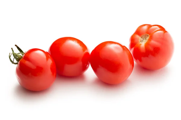 Tomates frescos sobre blanco — Foto de Stock