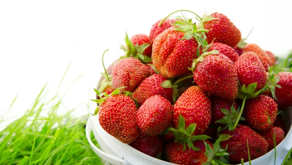 Mogen jordgubbe i hink på gräs — Stockfoto