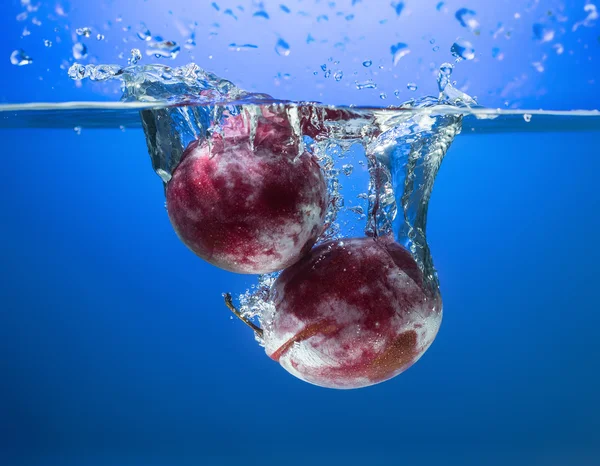 Fresh plums in water splash — Stock Photo, Image