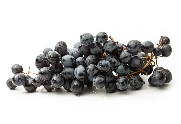 Twig of black grape on white — Stock Photo, Image