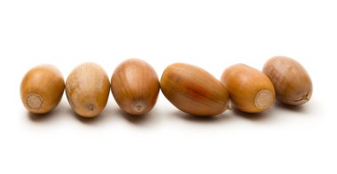 Beyaz meşe palamutları yığını