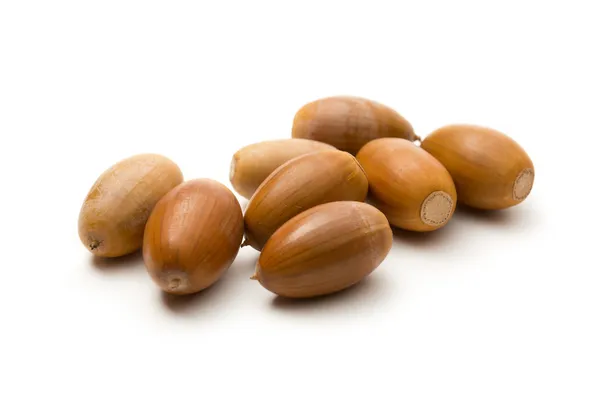 Heap of acorns on white — Stock Photo, Image