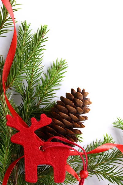 Background with fir and cone — Stock Photo, Image