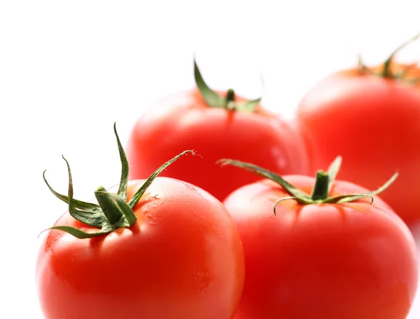 Tomates frescos sobre fondo blanco — Foto de Stock