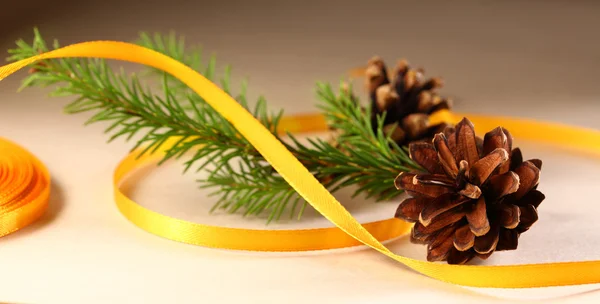 Twig of evergreen fir and cone with ribbon — Stock Photo, Image