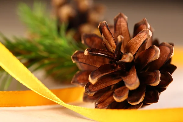 Twig of evergreen fir and cone with ribbon — Stock Photo, Image