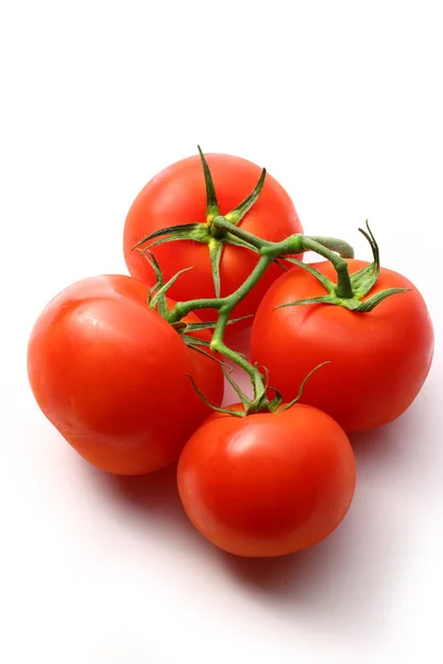 Tomater på hvit bakgrunn – stockfoto