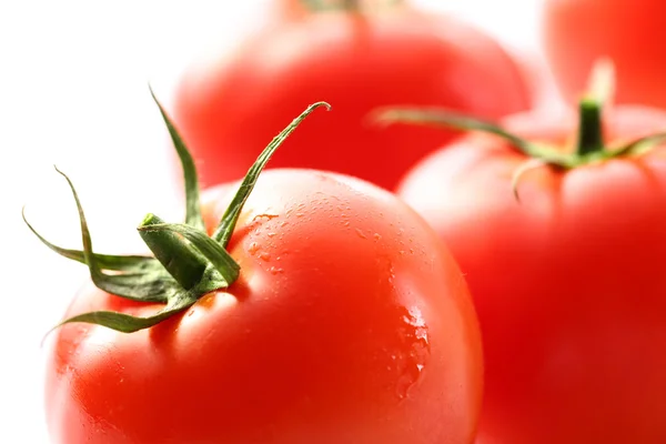 Tomaten auf weißem Hintergrund — Stockfoto