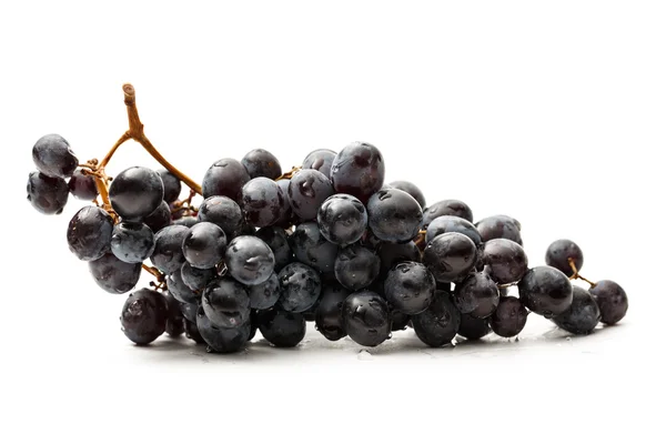 Gally, fehér fekete szőlő — Stock Fotó