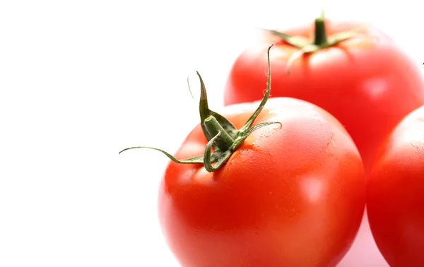 Tomaten auf weißem Hintergrund — Stockfoto