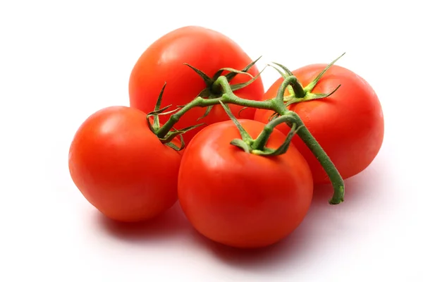 Tomatoes on the white background Stock Picture