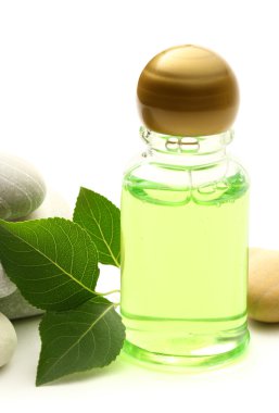 Taş, yaprak ve şampuan şişesi