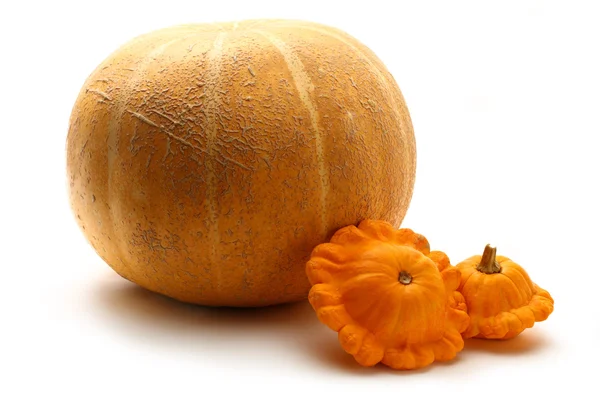 Yellow gourds on white background — Stock Photo, Image