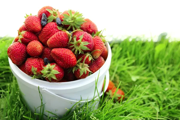 Reife Erdbeere im Korb auf Gras — Stockfoto