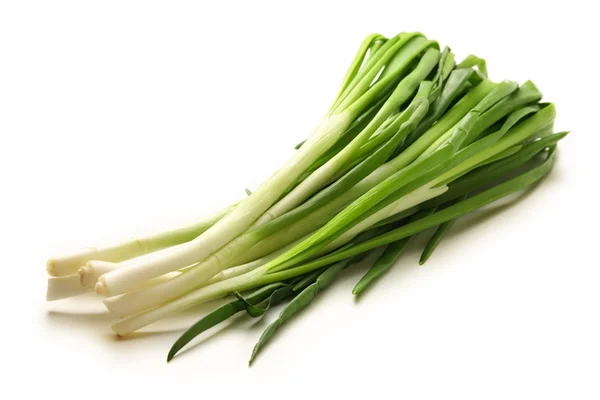 Bunch of green spring onion — Stock Photo, Image