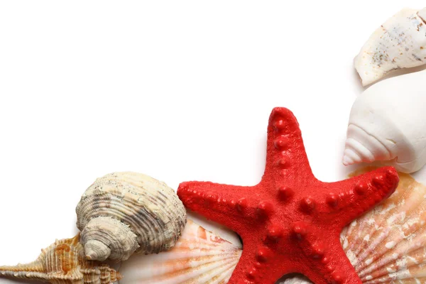 Seastar and seashells on white — Stock Photo, Image