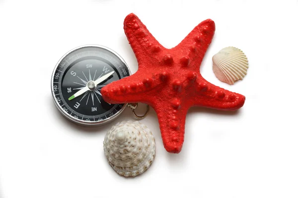 Kompass, Seestern und Muscheln auf weiß — Stockfoto