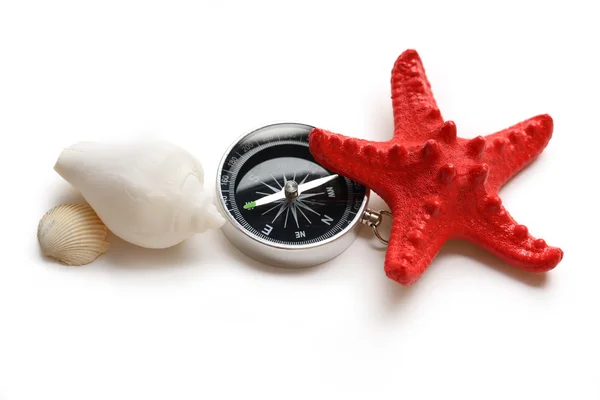 Компас, морская звезда и ракушки на белом — стоковое фото