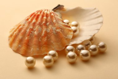 Deniz kabuğu içinde beyaz inci saçılma
